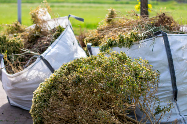 Best Garage Cleanout Services  in Wintersville, OH